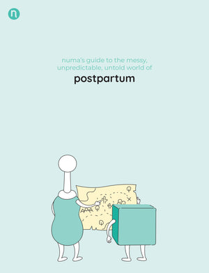 numa postpartum guidebook cover